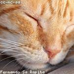 Gregoria Steuber Profile Picture