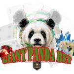 Giant Panda Bet profile picture