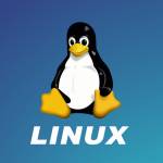 Linux Profile Picture