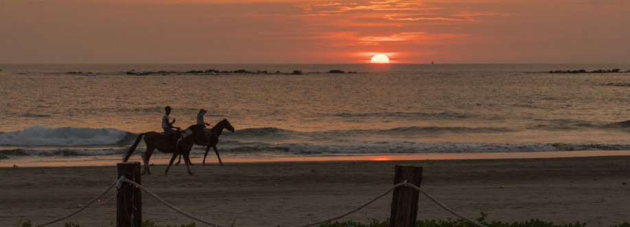 Ngwe Saung Beach Profile Picture