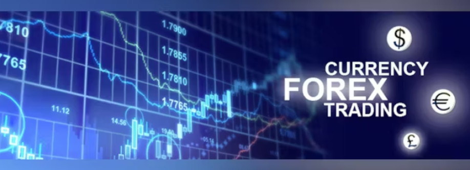 Forex Trading Profile Picture