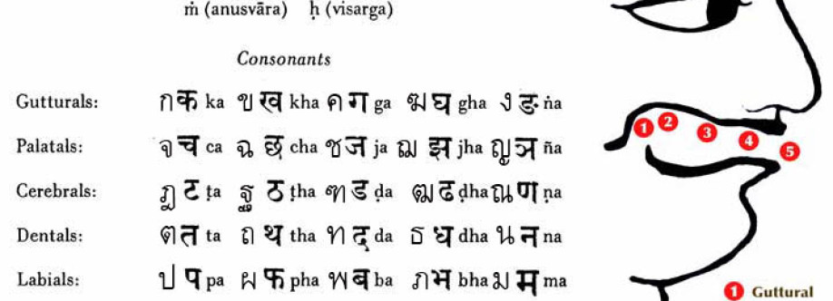 သက္ကတSanskrit Profile Picture