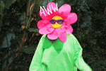 Comment image