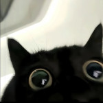 THIHA Profile Picture