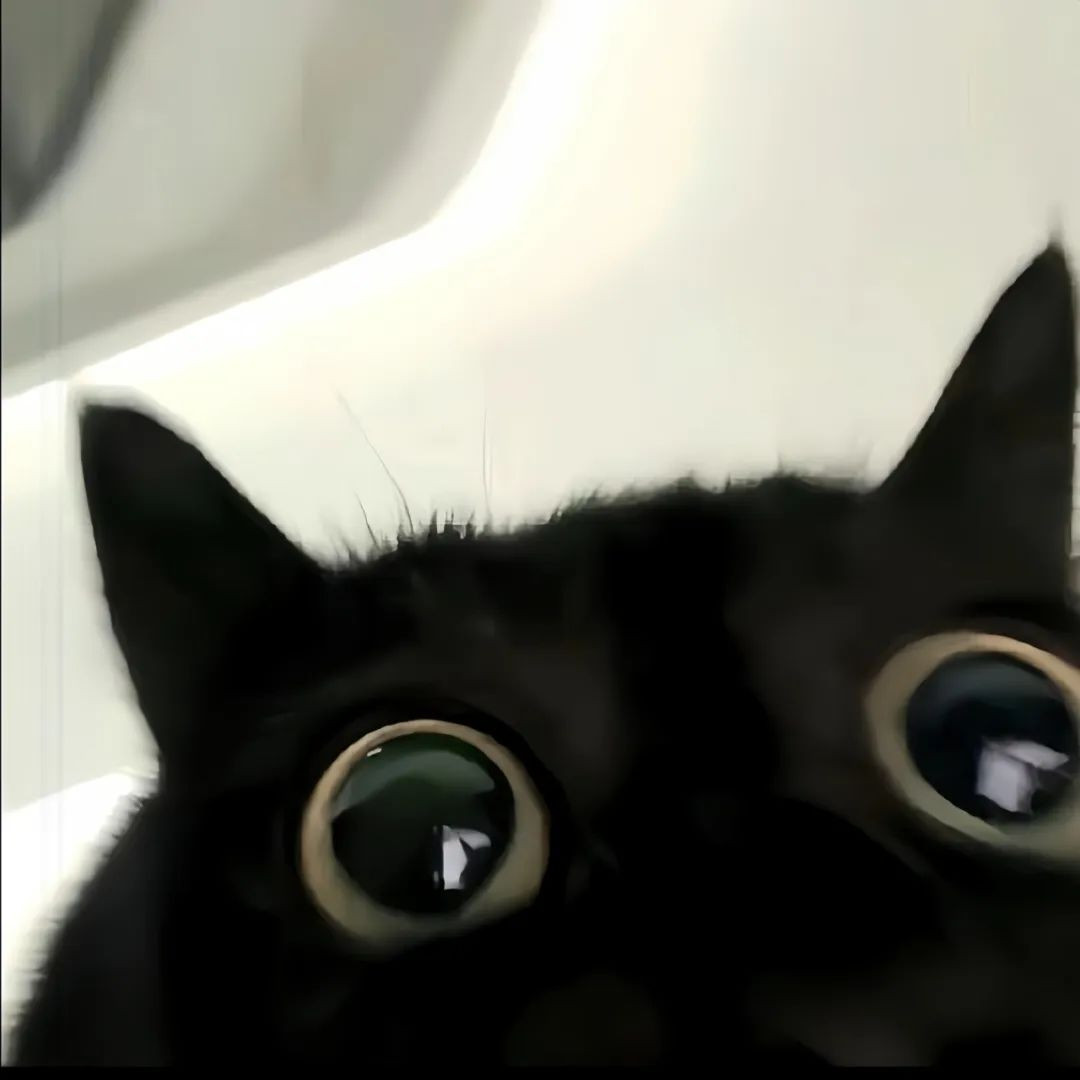 THIHA Profile Picture