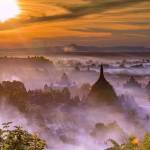 Rakhine Culture profile picture