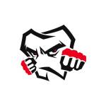 MMA Fight Sports profile picture