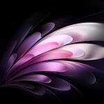 test private Profile Picture