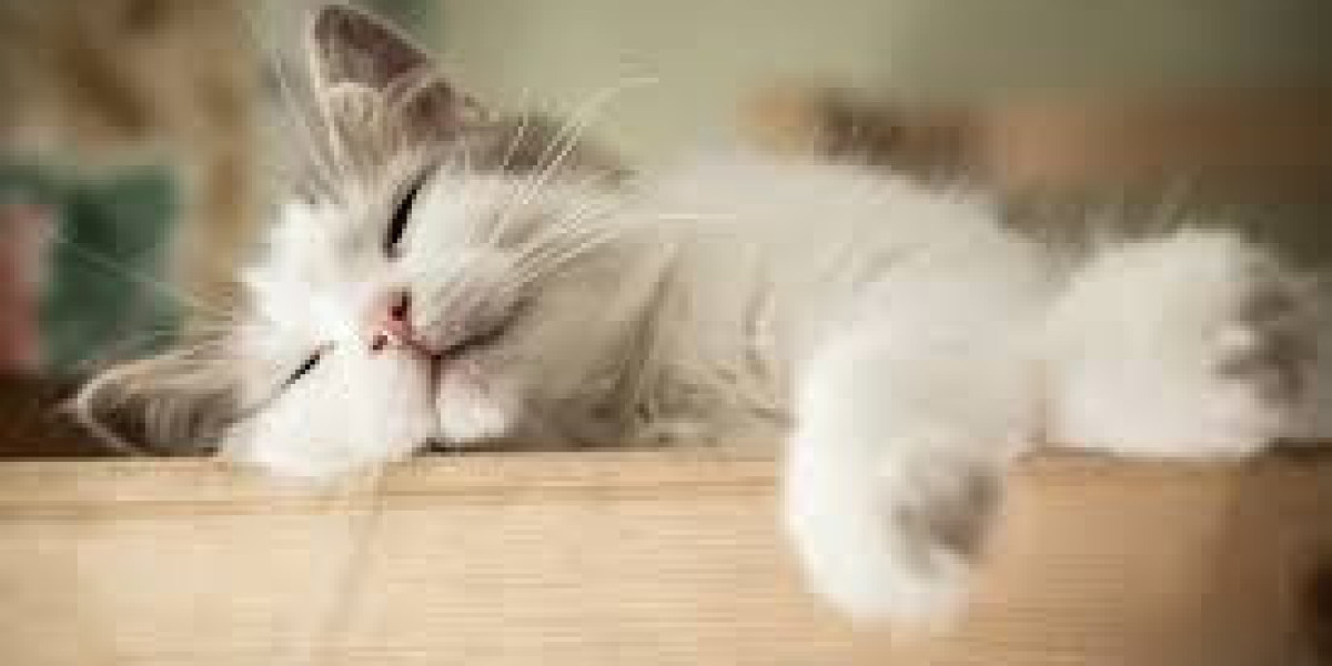 title title titletitle title title