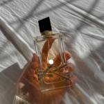 perfumery paradise Profile Picture