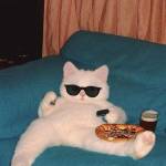 မောင်မင်းကြီးသား profile picture