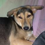 Scarlett Profile Picture