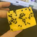 Crystal Yuri profile picture